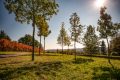 Pflanzenarten im Landschaftspark