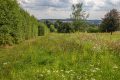 Pflanzenarten im Landschaftspark